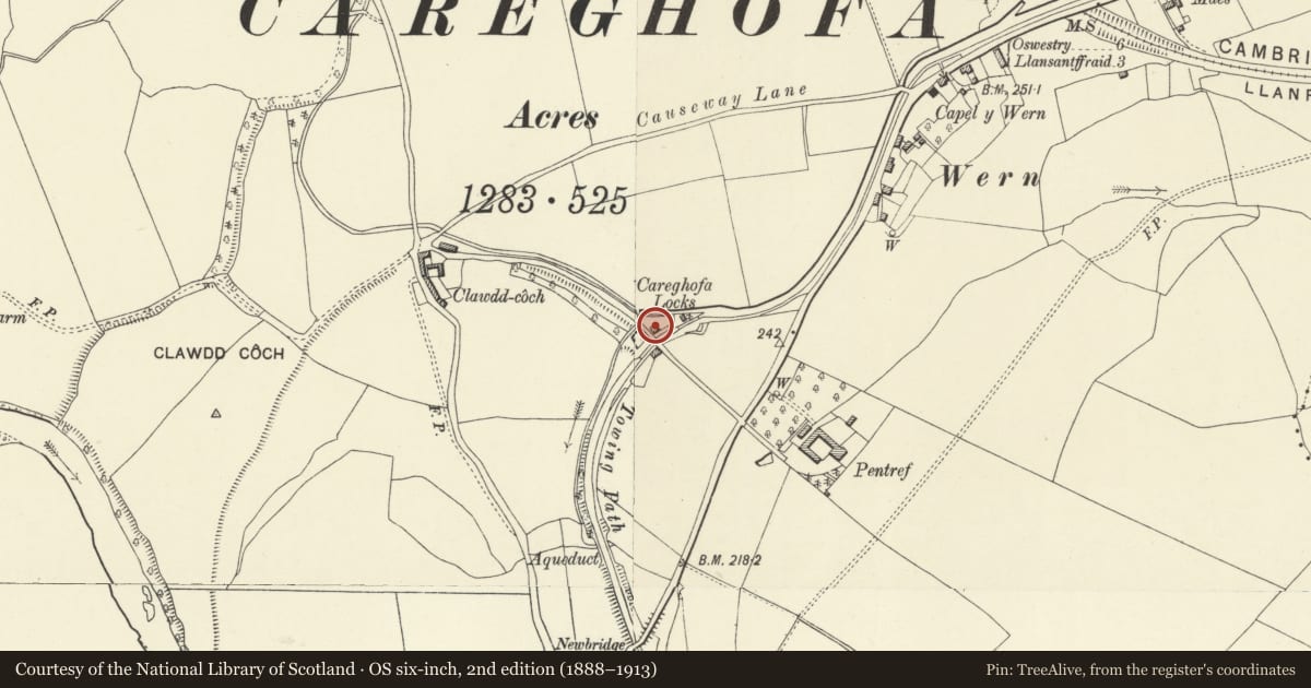 Ordnance Survey six-inch map, 2nd edition (1888–1913) covering the location of Former Wharfinger's House including brick boundary wall to road, Carreghofa, Powys, with a pin at the register's coordinates