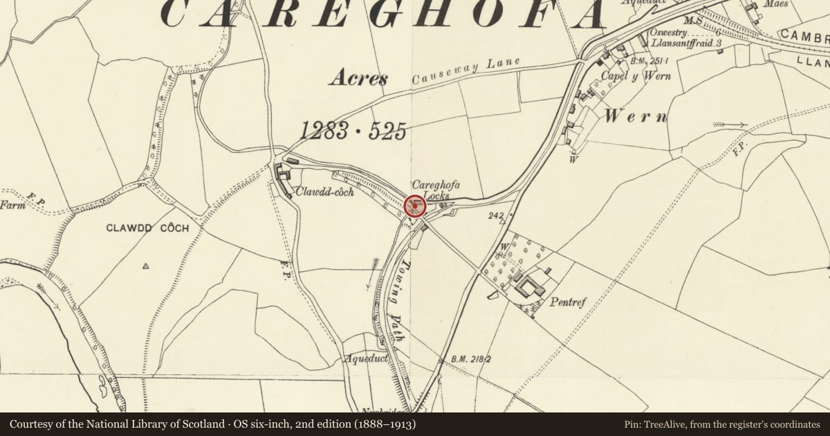 Ordnance Survey six-inch map, 2nd edition (1888–1913) covering the location of Bridge over by-pass Culvert to NW of No 1 The Locks, Carreghofa, Powys, with a pin at the register's coordinates