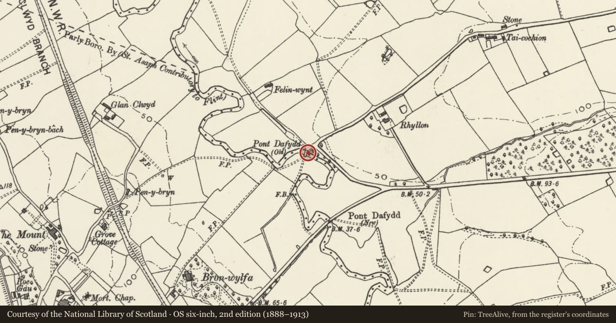 Ordnance Survey six-inch map, 2nd edition (1888–1913) covering the location of Pont Dafydd, Waen, Denbighshire, with a pin at the register's coordinates