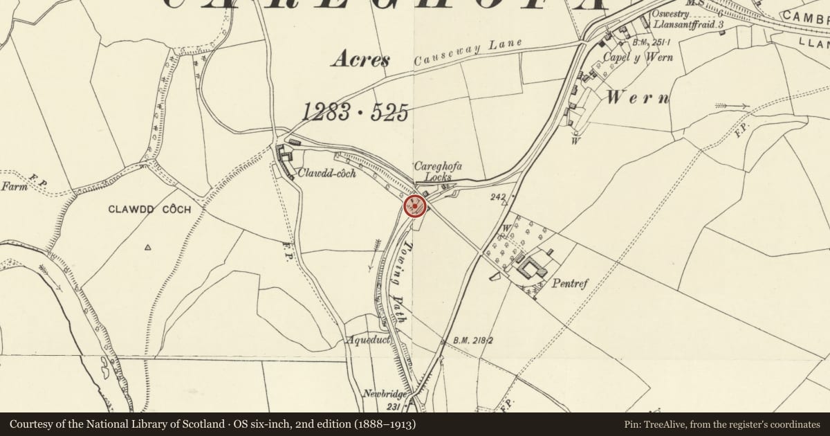 Ordnance Survey six-inch map, 2nd edition (1888–1913) covering the location of Lower Lock Chamber to W of No 1 THe Locks, Carreghofa, Powys, with a pin at the register's coordinates