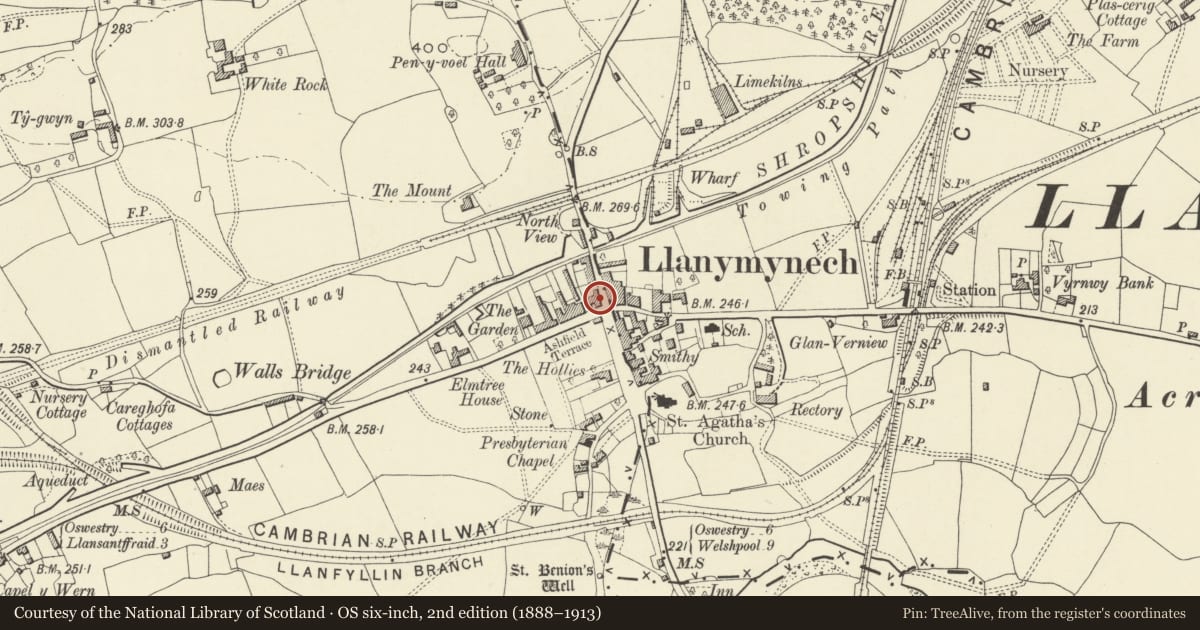 Ordnance Survey six-inch map, 2nd edition (1888–1913) covering the location of Ty-Croes, Carreghofa, Powys, with a pin at the register's coordinates