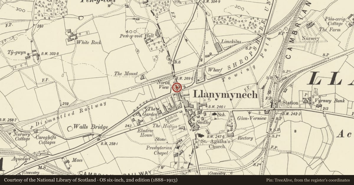 Ordnance Survey six-inch map, 2nd edition (1888–1913) covering the location of Former Warehouse adjoining Trunk Road Bridge, Carreghofa, Powys, with a pin at the register's coordinates
