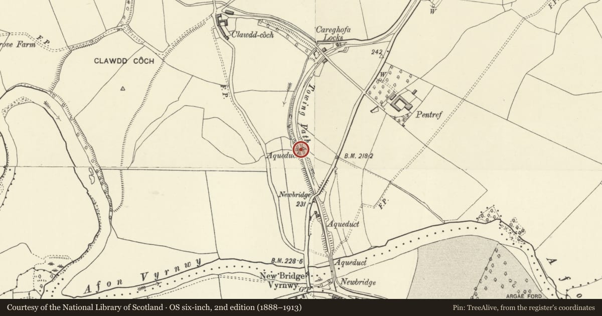 Ordnance Survey six-inch map, 2nd edition (1888–1913) covering the location of Four-Arch Aqueduct over Vyrnwy Flood Plain (Northern Arches) New Bridge Vyrnwy, Carreghofa, Powys, with a pin at the register's coordinates