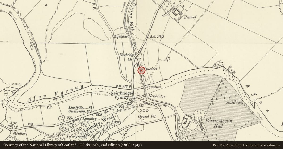 Ordnance Survey six-inch map, 2nd edition (1888–1913) covering the location of Three-Arch Aqueduct over Vyrnwy Flood Plain (Southern Arches) New Bridge Vyrnwy, Carreghofa, Powys, with a pin at the register's coordinates
