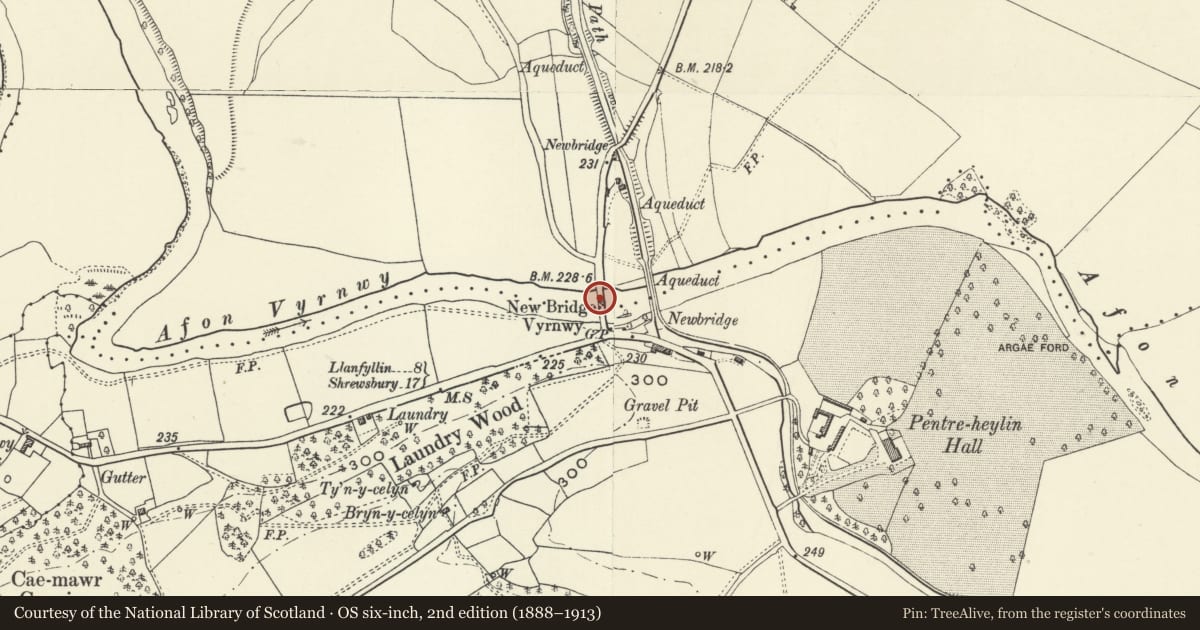 Ordnance Survey six-inch map, 2nd edition (1888–1913) covering the location of Road Bridge over River Vyrnwy, Carreghofa, Powys, with a pin at the register's coordinates