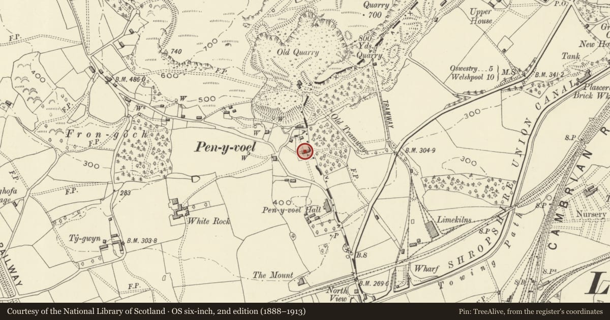 Ordnance Survey six-inch map, 2nd edition (1888–1913) covering the location of Garth Cottage, Carreghofa, Powys, with a pin at the register's coordinates