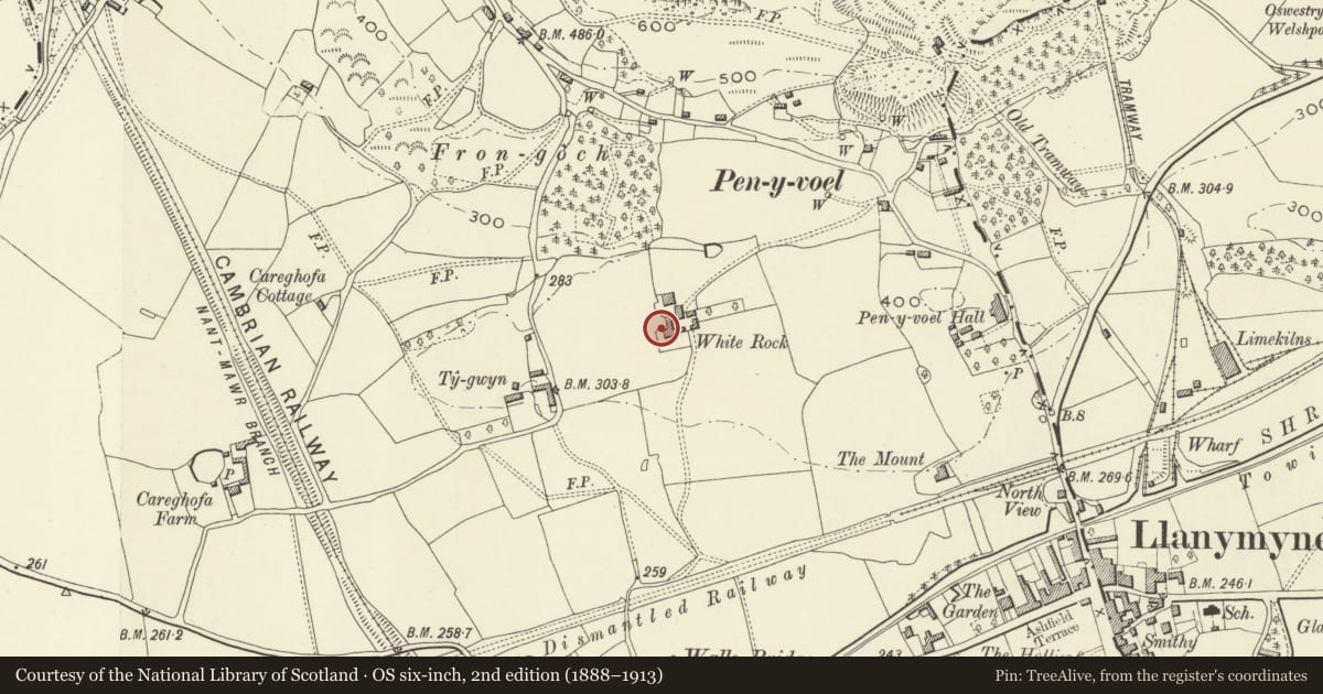 Ordnance Survey six-inch map, 2nd edition (1888–1913) covering the location of White Rock, Carreghofa, Powys, with a pin at the register's coordinates