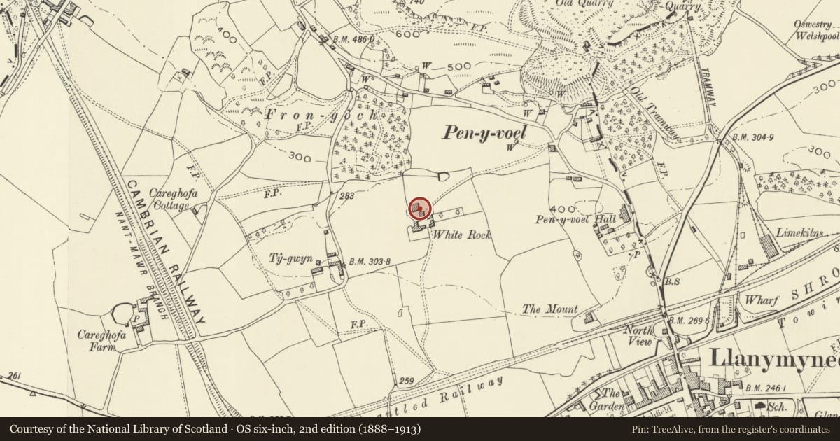 Ordnance Survey six-inch map, 2nd edition (1888–1913) covering the location of White Rock NE Range of attached outbuildings, Carreghofa, Powys, with a pin at the register's coordinates