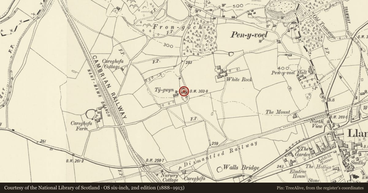Ordnance Survey six-inch map, 2nd edition (1888–1913) covering the location of Farm Ranges to East of Ty-Gwyn Farmhouse, Carreghofa, Powys, with a pin at the register's coordinates
