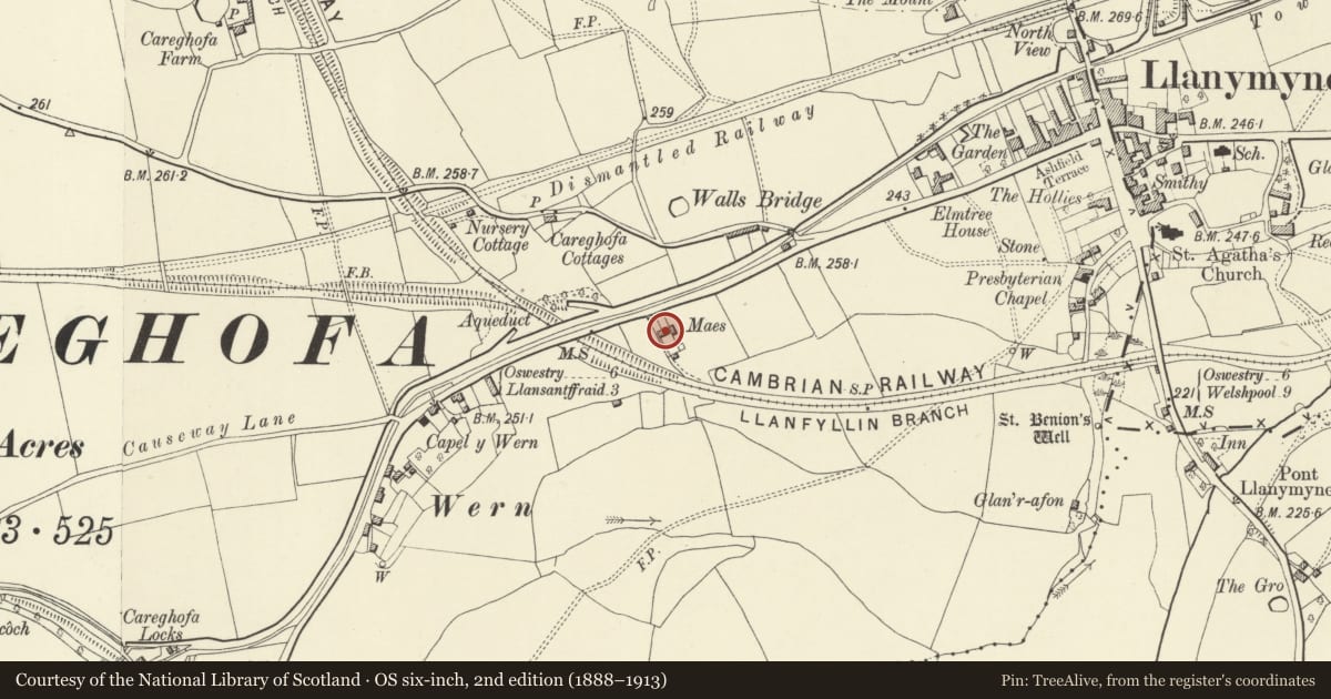 Ordnance Survey six-inch map, 2nd edition (1888–1913) covering the location of Cottage immediately to the east of Wern School, Carreghofa, Powys, with a pin at the register's coordinates