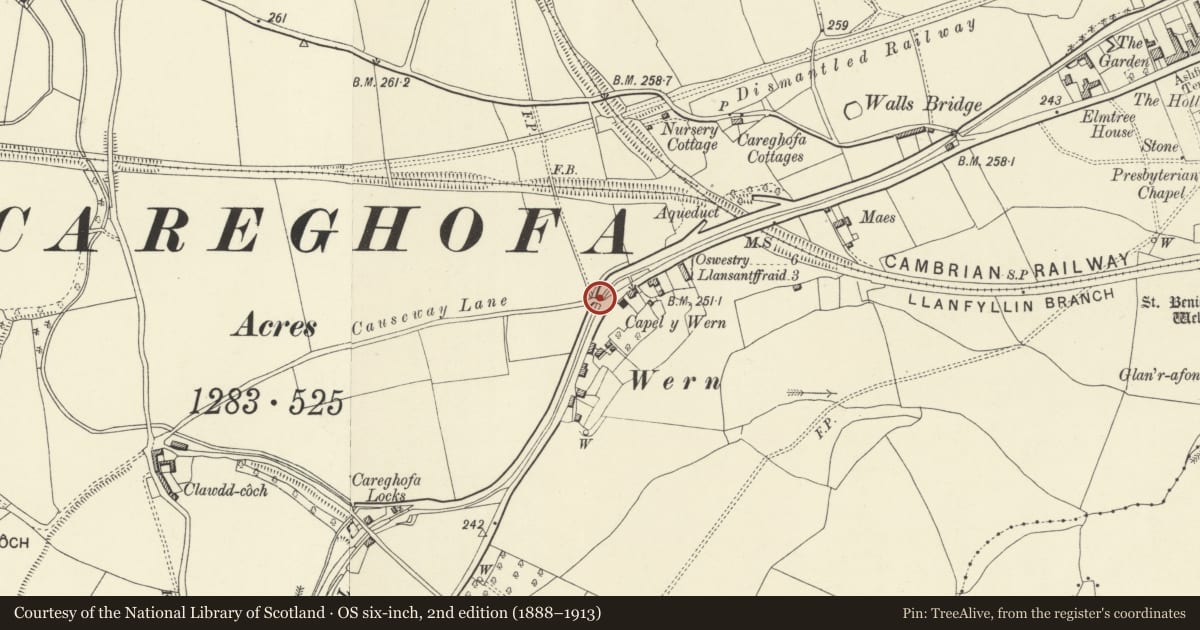 Ordnance Survey six-inch map, 2nd edition (1888–1913) covering the location of Wern Bridge (Number 94), Carreghofa, Powys, with a pin at the register's coordinates