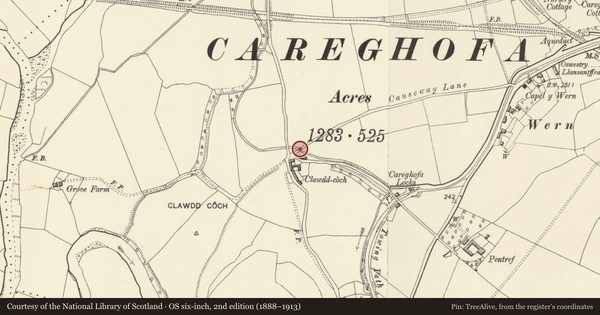 Ordnance Survey six-inch map, 2nd edition (1888–1913) covering the location of Eastern Bridge over Tanat Feeder to N of Clawdd-Coch, Carreghofa, Powys, with a pin at the register's coordinates