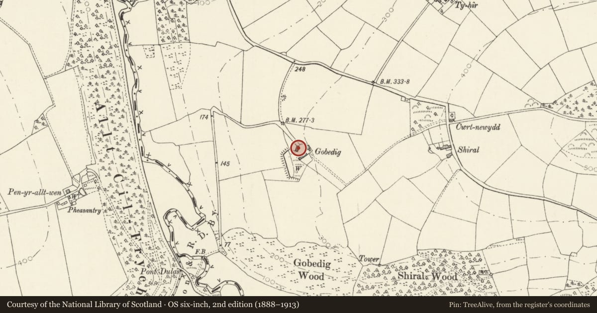 Ordnance Survey six-inch map, 2nd edition (1888–1913) covering the location of Cartshed ar Gobedig, Cenarth, Carmarthenshire, with a pin at the register's coordinates