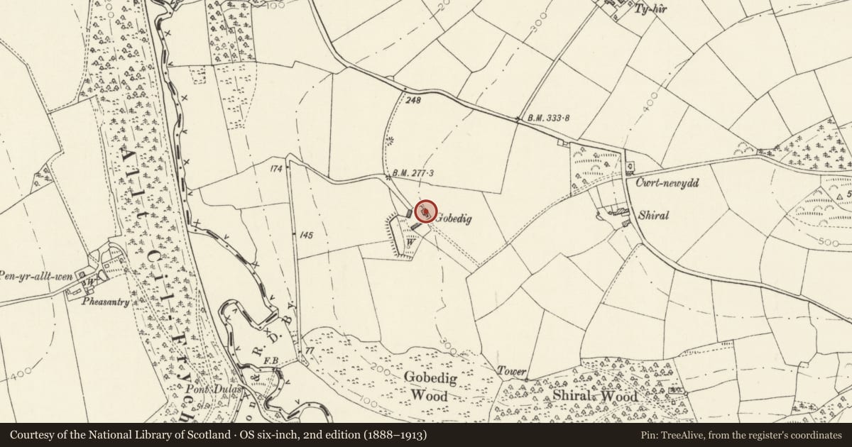Ordnance Survey six-inch map, 2nd edition (1888–1913) covering the location of Gobedig, Cenarth, Carmarthenshire, with a pin at the register's coordinates