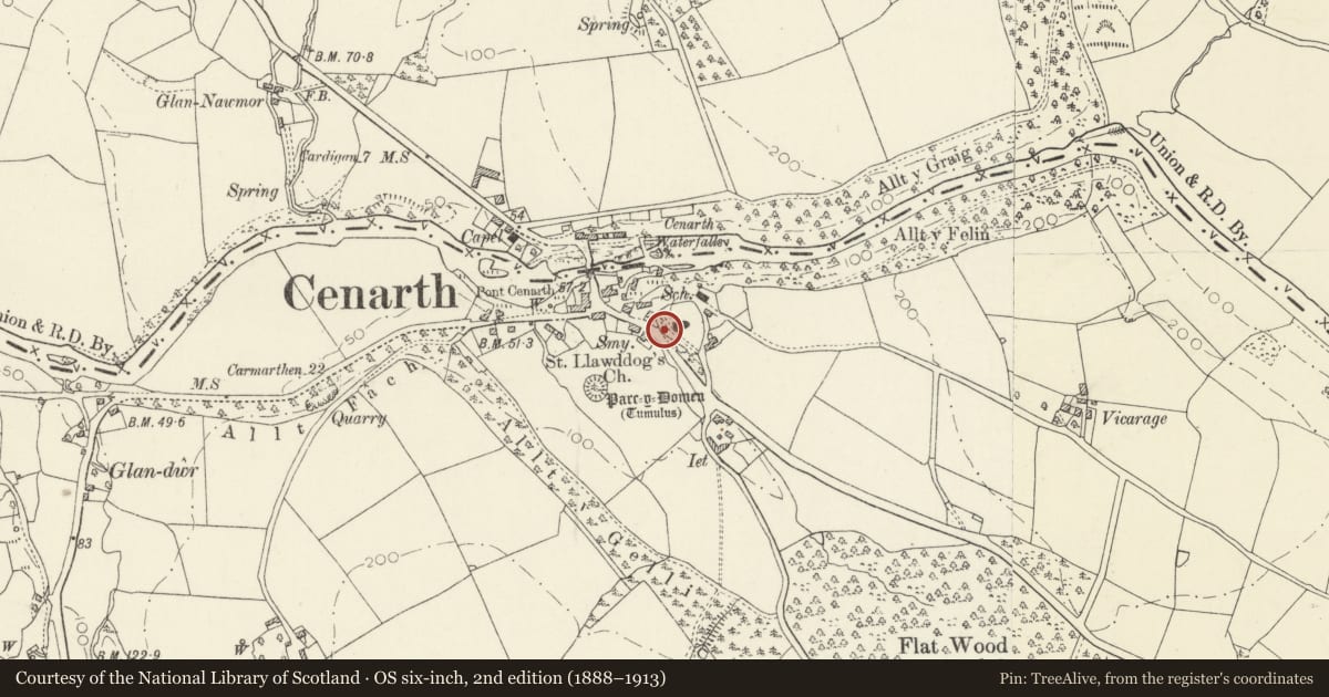 Ordnance Survey six-inch map, 2nd edition (1888–1913) covering the location of Gateway to Churchyard, Cenarth, Carmarthenshire, with a pin at the register's coordinates