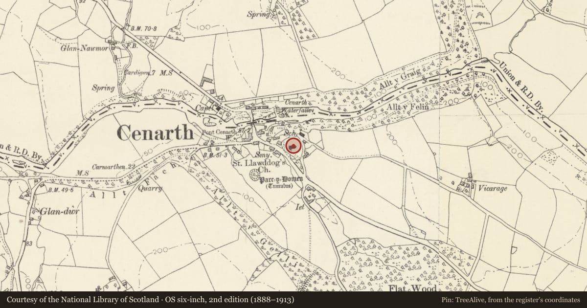 Ordnance Survey six-inch map, 2nd edition (1888–1913) covering the location of Church of St Llawddog, Cenarth, Carmarthenshire, with a pin at the register's coordinates