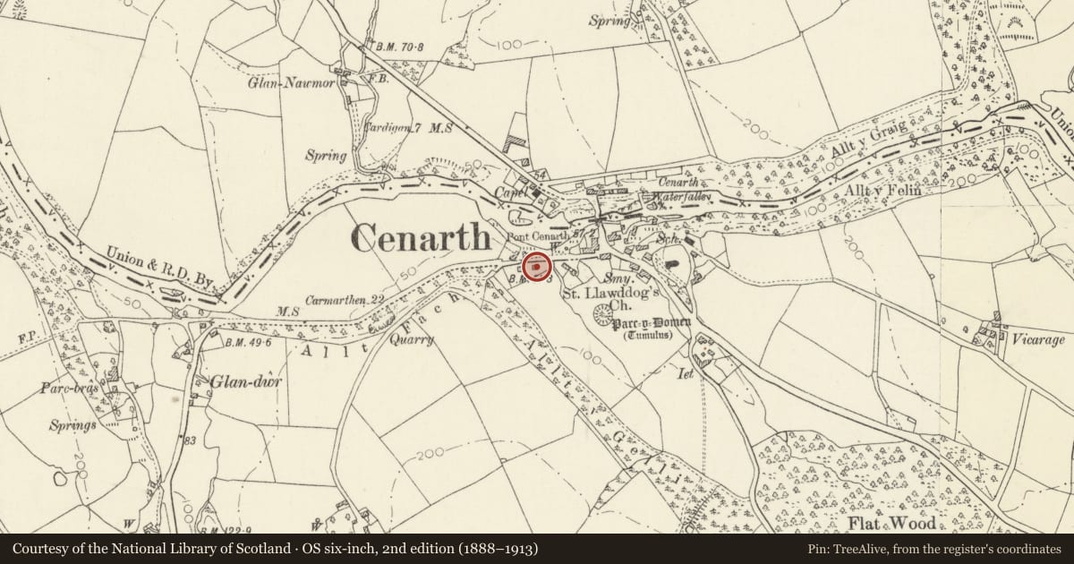 Ordnance Survey six-inch map, 2nd edition (1888–1913) covering the location of Teifi View, Cenarth, Carmarthenshire, with a pin at the register's coordinates