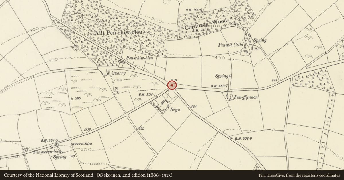 Ordnance Survey six-inch map, 2nd edition (1888–1913) covering the location of Telephone Call-box at road junction, Cenarth, Carmarthenshire, with a pin at the register's coordinates