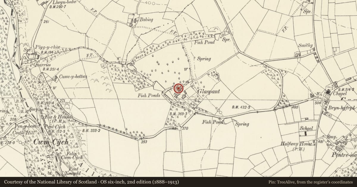 Ordnance Survey six-inch map, 2nd edition (1888–1913) covering the location of Glaspant, Cenarth, Carmarthenshire, with a pin at the register's coordinates