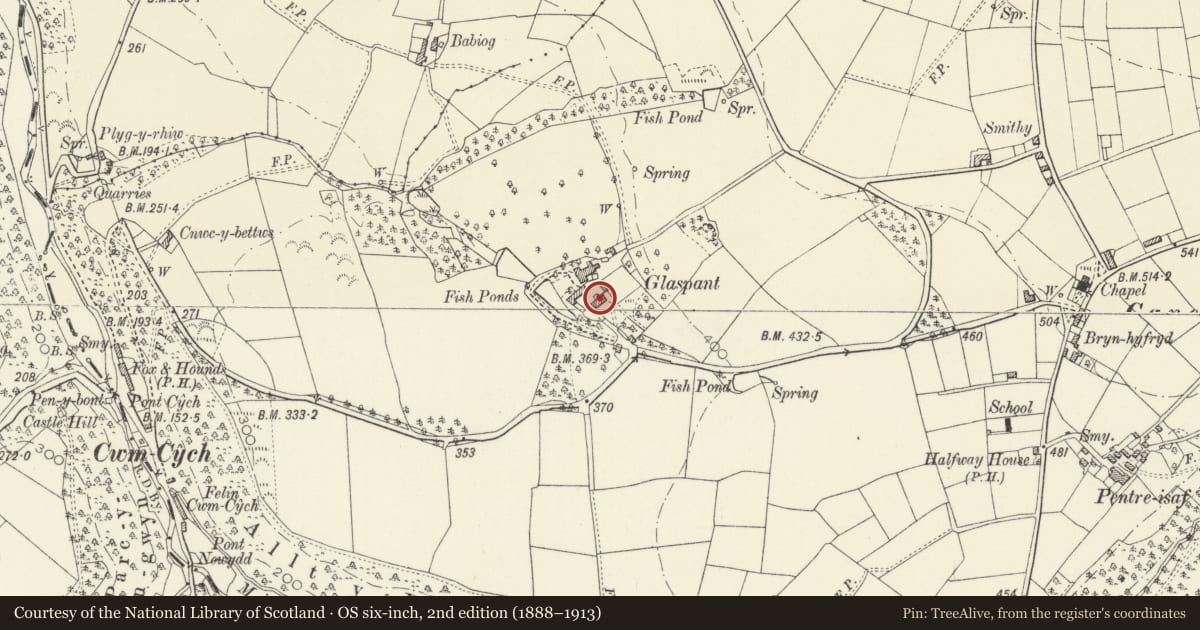 Ordnance Survey six-inch map, 2nd edition (1888–1913) covering the location of Barn at Glaspant, Cenarth, Carmarthenshire, with a pin at the register's coordinates