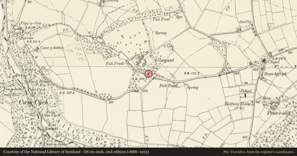Ordnance Survey six-inch map, 2nd edition (1888–1913) covering the location of Gatepiers and Gates adjoining Glaspant Lodge, Cenarth, Carmarthenshire, with a pin at the register's coordinates