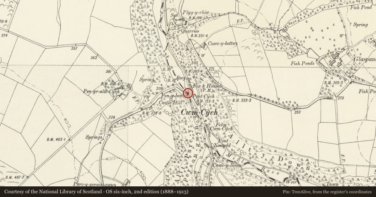 Ordnance Survey six-inch map, 2nd edition (1888–1913) covering the location of Pont Cych, Cenarth, Carmarthenshire, with a pin at the register's coordinates
