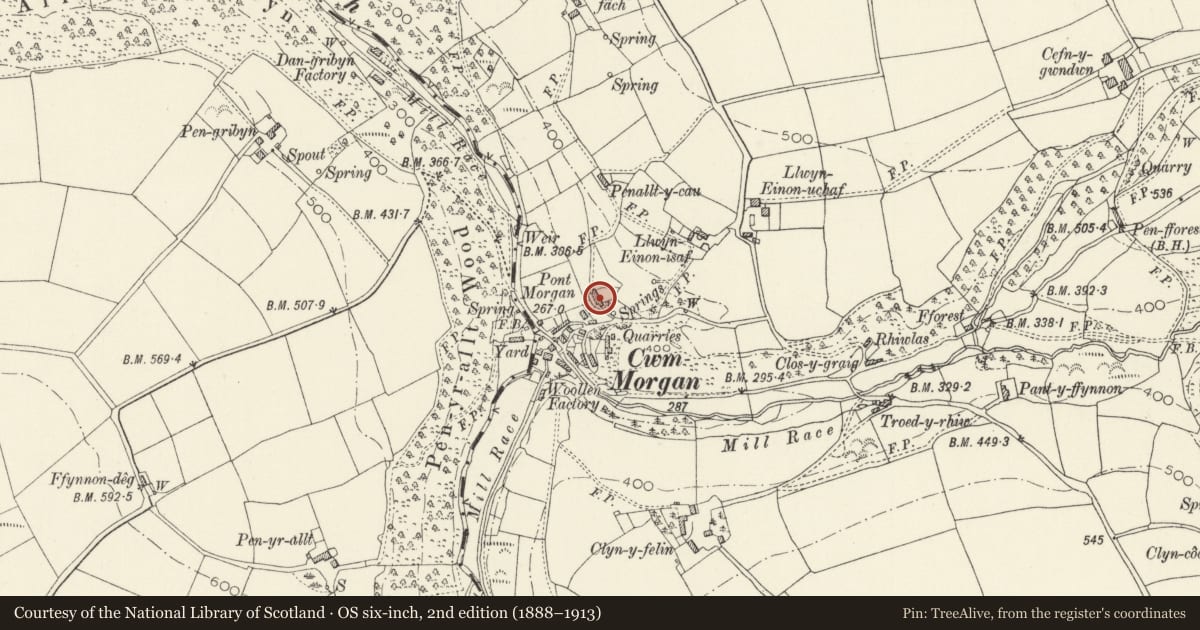 Ordnance Survey six-inch map, 2nd edition (1888–1913) covering the location of Deneinon, Cenarth, Carmarthenshire, with a pin at the register's coordinates