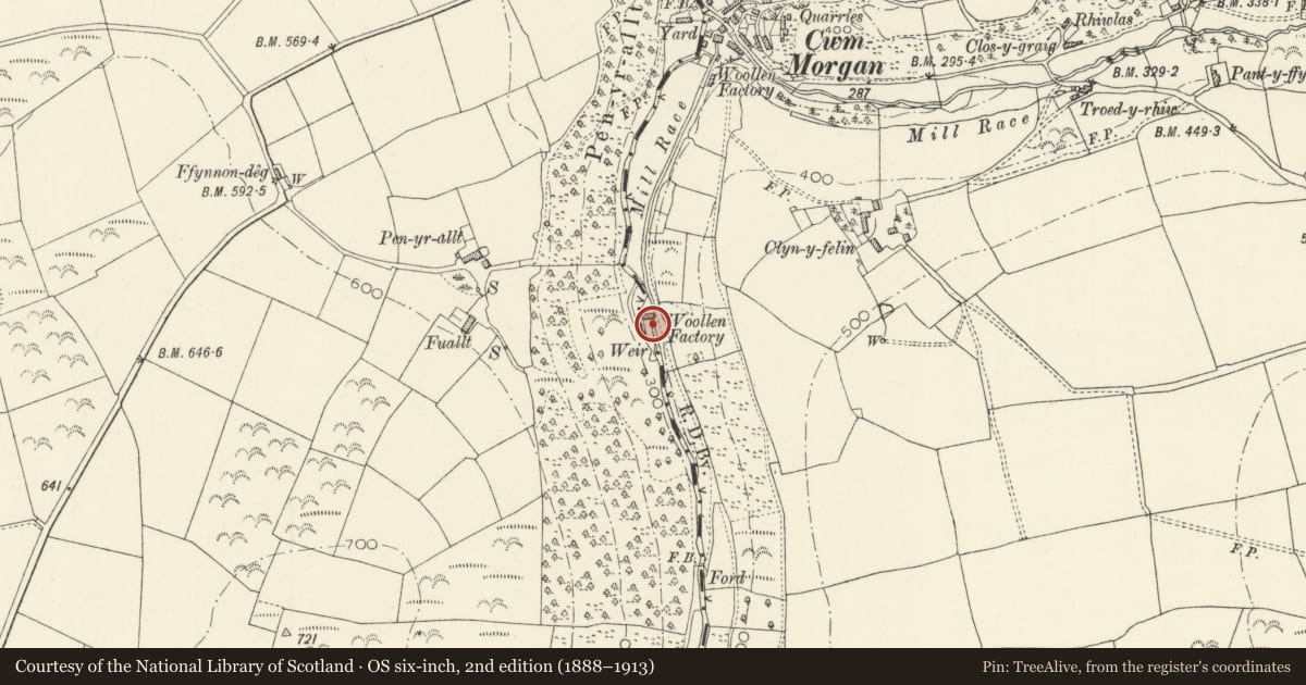 Ordnance Survey six-inch map, 2nd edition (1888–1913) covering the location of Dreifa Mills including two Water-Wheels, Cenarth, Carmarthenshire, with a pin at the register's coordinates