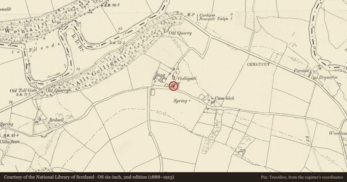 Ordnance Survey six-inch map, 2nd edition (1888–1913) covering the location of Gelligatti, Cenarth, Carmarthenshire, with a pin at the register's coordinates
