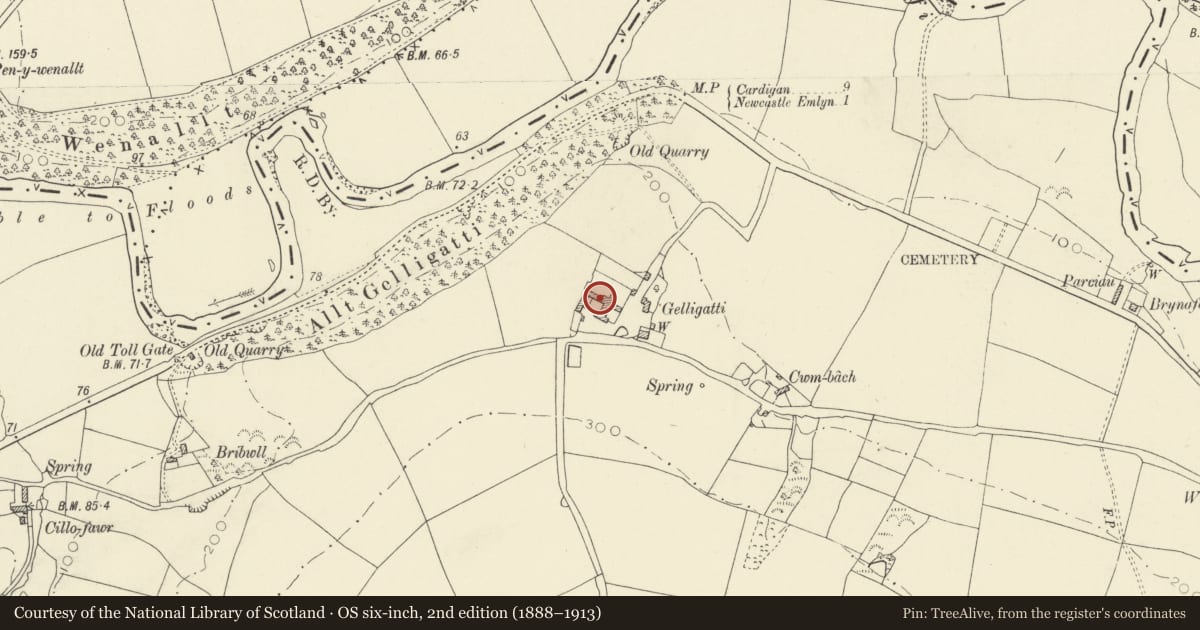 Ordnance Survey six-inch map, 2nd edition (1888–1913) covering the location of Main Farm Ranges at Gelligatti, Cenarth, Carmarthenshire, with a pin at the register's coordinates