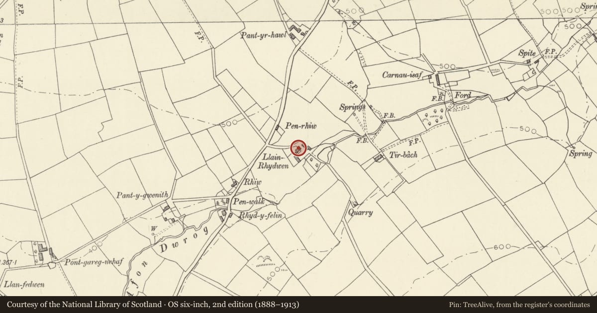 Ordnance Survey six-inch map, 2nd edition (1888–1913) covering the location of LLainrhydwen, Cenarth, Carmarthenshire, with a pin at the register's coordinates
