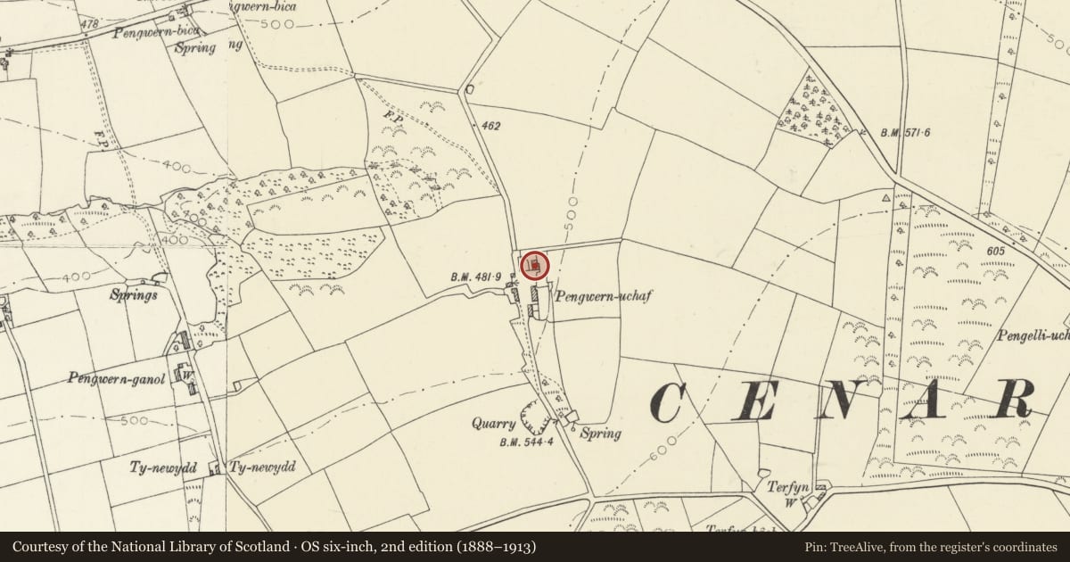 Ordnance Survey six-inch map, 2nd edition (1888–1913) covering the location of Pengwern Uchaf, Cenarth, Carmarthenshire, with a pin at the register's coordinates