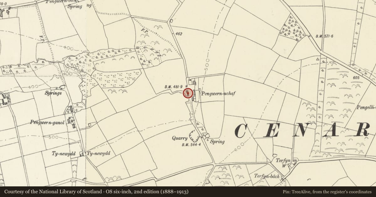 Ordnance Survey six-inch map, 2nd edition (1888–1913) covering the location of Lofted Cartshed at Pengwarn Uchaf, Cenarth, Carmarthenshire, with a pin at the register's coordinates