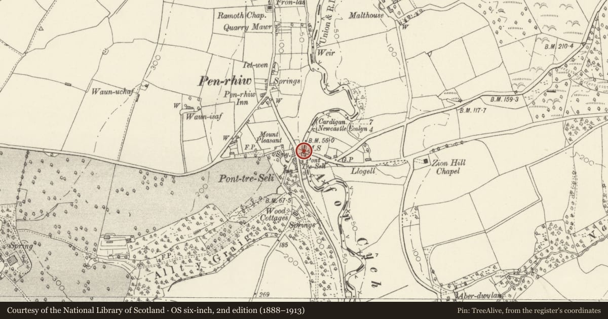 Ordnance Survey six-inch map, 2nd edition (1888–1913) covering the location of Pont Treseli, Cenarth, Carmarthenshire, with a pin at the register's coordinates