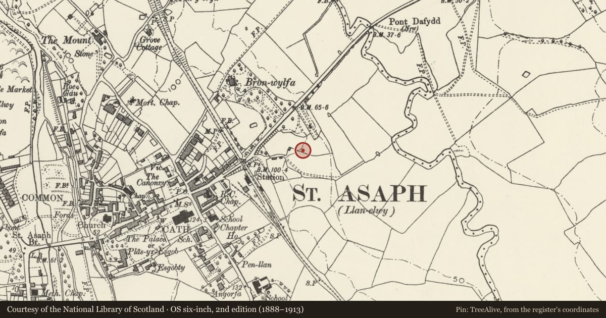 Ordnance Survey six-inch map, 2nd edition (1888–1913) covering the location of The Bryn, St. Asaph, Denbighshire, with a pin at the register's coordinates