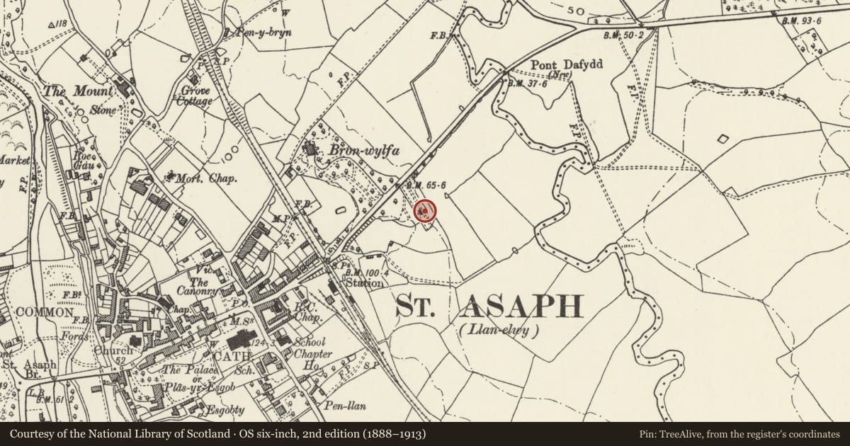 Ordnance Survey six-inch map, 2nd edition (1888–1913) covering the location of Summerhouse in the grounds of The Bryn, St. Asaph, Denbighshire, with a pin at the register's coordinates