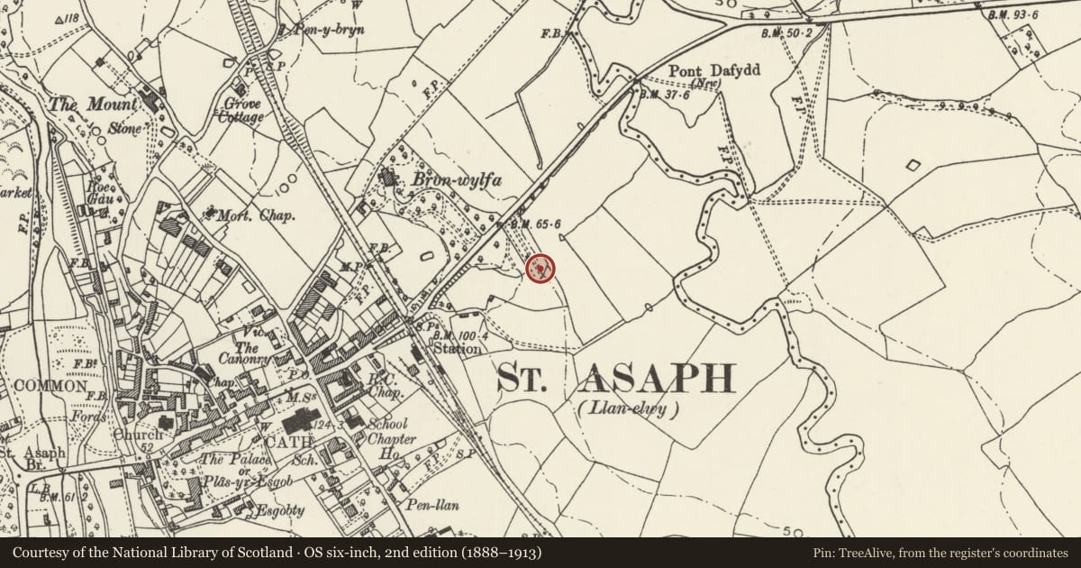 Ordnance Survey six-inch map, 2nd edition (1888–1913) covering the location of Sundial in the grounds of The Bryn, St. Asaph, Denbighshire, with a pin at the register's coordinates