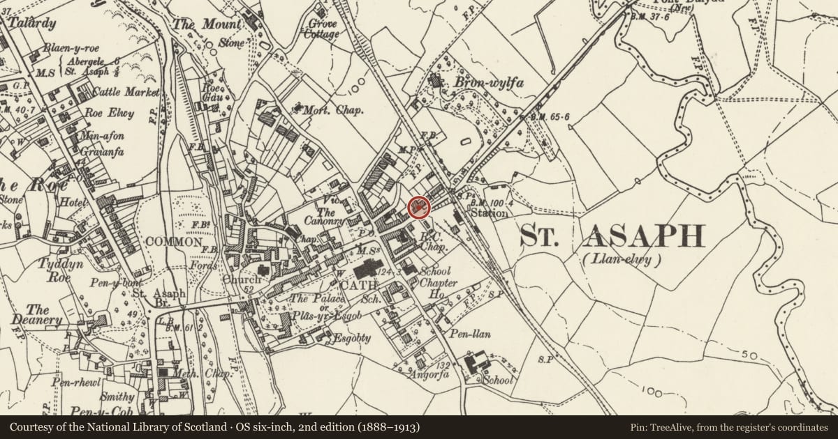 Ordnance Survey six-inch map, 2nd edition (1888–1913) covering the location of The Court House, St. Asaph, Denbighshire, with a pin at the register's coordinates