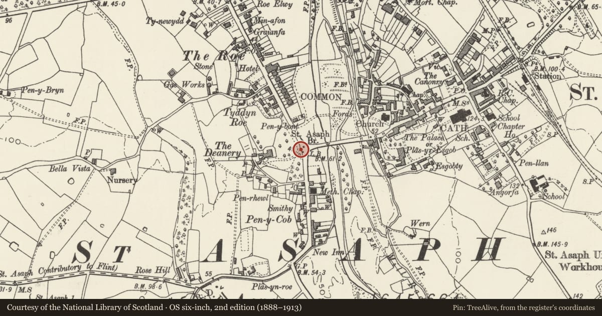 Ordnance Survey six-inch map, 2nd edition (1888–1913) covering the location of Gatepiers & Gate at the Old Deanery, St. Asaph, Denbighshire, with a pin at the register's coordinates