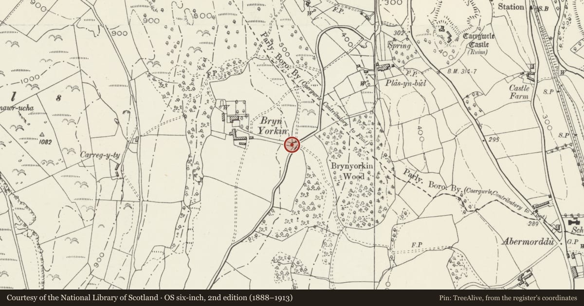 Ordnance Survey six-inch map, 2nd edition (1888–1913) covering the location of Gatepiers at Bryn Iorcyn Manor, Llanfynydd, Flintshire, with a pin at the register's coordinates
