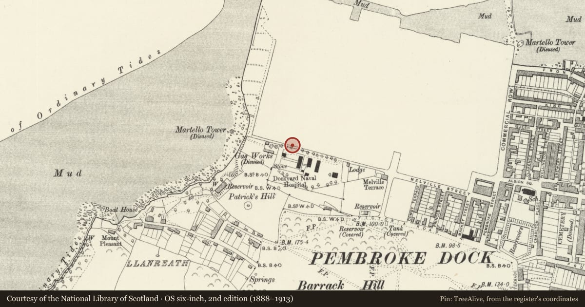 Ordnance Survey six-inch map, 2nd edition (1888–1913) covering the location of The Dockyard Walls, Pembroke Dock, Pembrokeshire, with a pin at the register's coordinates