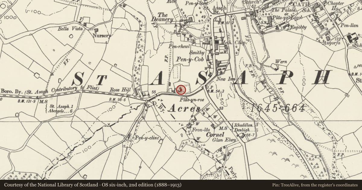 Ordnance Survey six-inch map, 2nd edition (1888–1913) covering the location of The Hendre, St. Asaph, Denbighshire, with a pin at the register's coordinates