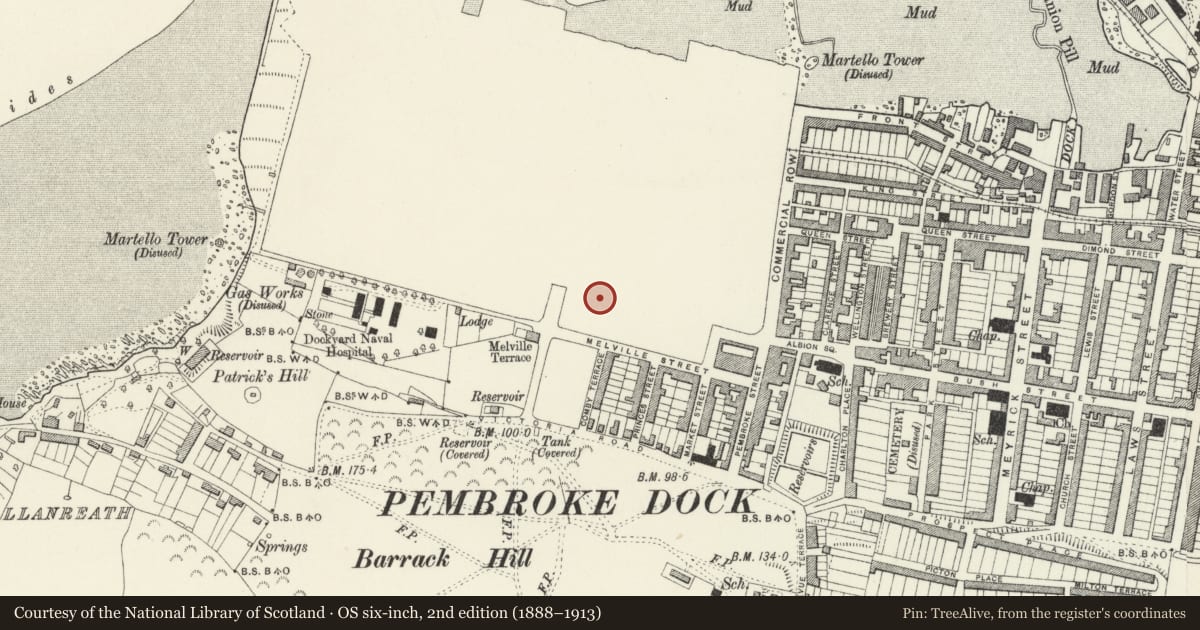 Ordnance Survey six-inch map, 2nd edition (1888–1913) covering the location of 3 The Terrace, Pembroke Dock, Pembrokeshire, with a pin at the register's coordinates