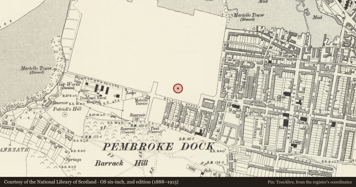 Ordnance Survey six-inch map, 2nd edition (1888–1913) covering the location of 5 The Terrace, Pembroke Dock, Pembrokeshire, with a pin at the register's coordinates