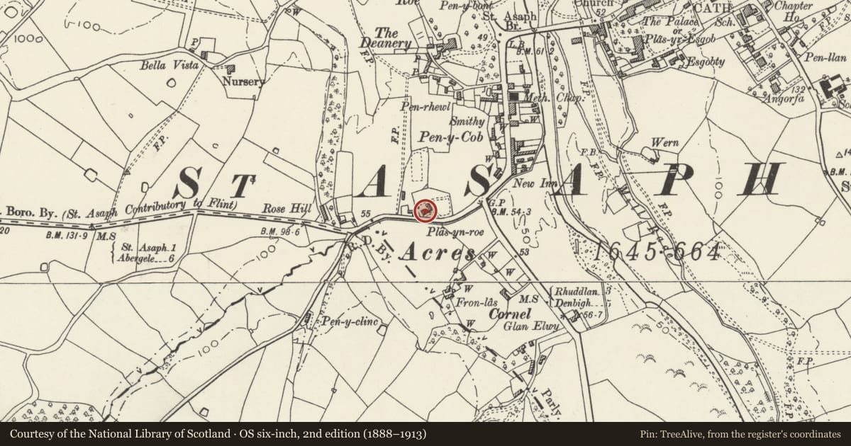 Ordnance Survey six-inch map, 2nd edition (1888–1913) covering the location of Plas yn Roe, St. Asaph, Denbighshire, with a pin at the register's coordinates