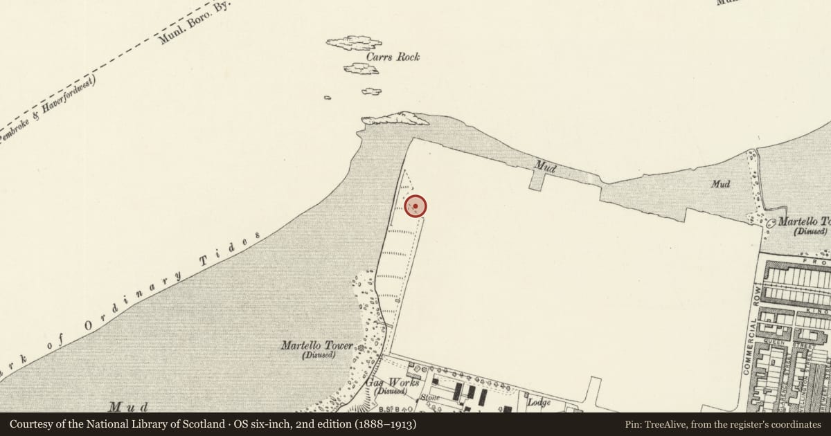 Ordnance Survey six-inch map, 2nd edition (1888–1913) covering the location of Pater Fort SW and W Walls, Pembroke Dock, Pembrokeshire, with a pin at the register's coordinates