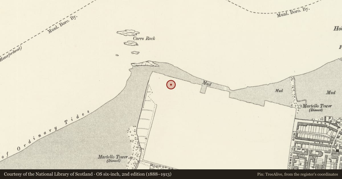 Ordnance Survey six-inch map, 2nd edition (1888–1913) covering the location of Building Slip No. 1, Pembroke Dock, Pembrokeshire, with a pin at the register's coordinates