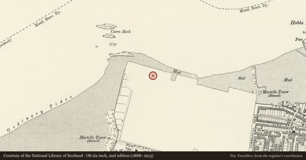Ordnance Survey six-inch map, 2nd edition (1888–1913) covering the location of Building Slip No 2, Pembroke Dock, Pembrokeshire, with a pin at the register's coordinates