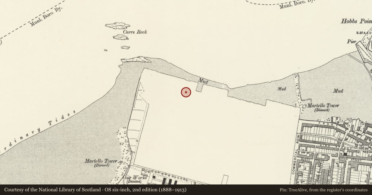 Ordnance Survey six-inch map, 2nd edition (1888–1913) covering the location of The Graving Dock including Bollards and Cpstans, Pembroke Dock, Pembrokeshire, with a pin at the register's coordinates