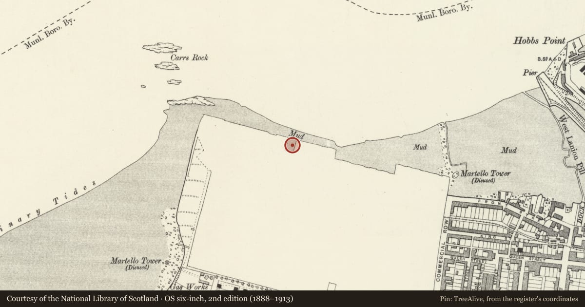 Ordnance Survey six-inch map, 2nd edition (1888–1913) covering the location of The Western Camber, Pembroke Dock, Pembrokeshire, with a pin at the register's coordinates